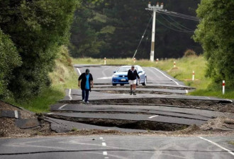 新西兰地震上万鲍鱼被掀上海岸 灾民这样做..