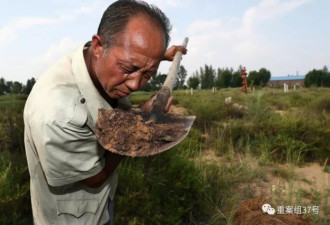 陕西榆林小壕兔乡污染调查:人得怪病羊成群地死
