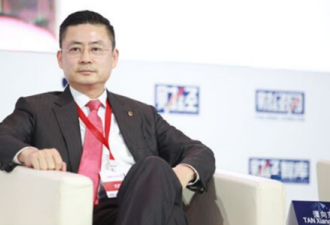 他接替王健，获任了海航国际业务董事长