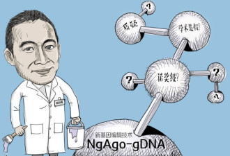 中国首次用新基因编辑技术改造人体细胞