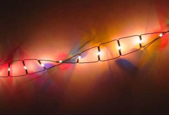 首次!中国科学家完成第三代基因编辑人体试验