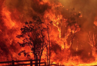 葡萄牙宣布：进入紧急状态应对森林大火