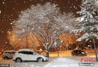 新疆阿勒泰迎大雪天气 街头车辆被雪埋