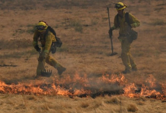 加州野火已成史上第5大 州长求援 川普列重灾