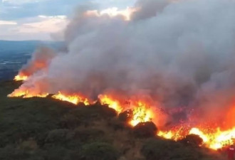 爱尔兰山火竟然“烧出”一处历史遗迹