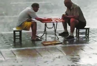 暴雨中依然淡定下棋，两位老大爷成网红
