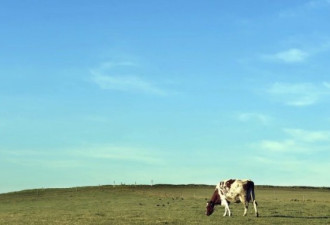 气候改变了欧洲，瑞士牛要空运水才能活