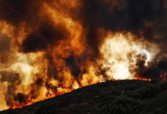 门多西诺野火烧成加州史上最大规模火灾