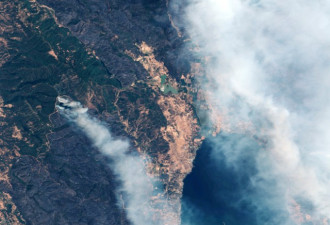 加州新常态:17处野火11天延烧29万英亩