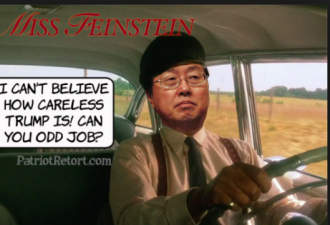 美国资深参议员范斯坦前司机被发现是中国间谍