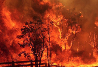 北加州爆今年最大野火！至少2万人疏散