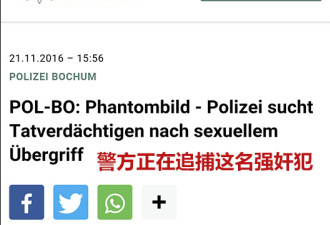 德国警方公布“中国女生疑遭难民性侵疑犯画像