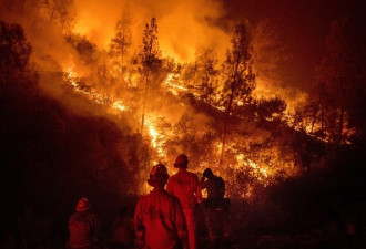 加州山火面积10个三藩市 难扑灭