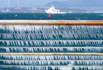 大连10级风力把海水吹上岸 冻出大量冰凌