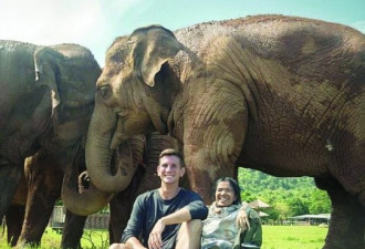 加拿大小伙筹钱救泰国大象 一头已被奴役80年