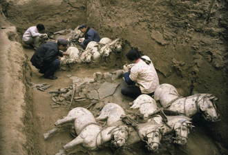 秦始皇陵发现随葬动物数千件 马地位最特别