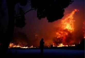 希腊火灾已导致94人死亡