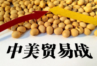 贸易战被指大豆紧缺 中国齐上阵坚称货源充足