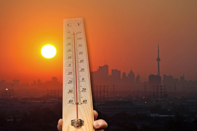 “toronto heat”的图片搜索结果