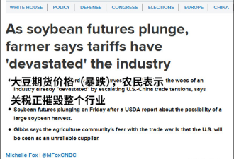 贸易战下美国大豆产量创纪录 期货暴跌