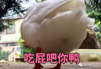 被小哥哥家暴是宠幸？每7秒就有一位女性被打