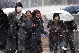 时隔54年的一场雪，让整个东京高潮了！