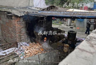 伪爱猫人每天杀猫100只 将猫肉当兔肉卖上餐桌
