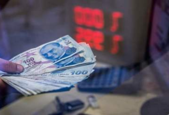 土耳其宣布 与中国贸易改为用本国货币结算
