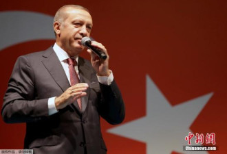 土耳其总统：土方有能力抵御别国经济“攻击”