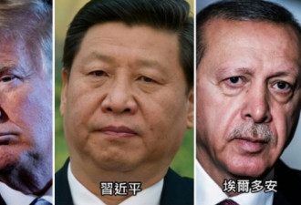 美国特朗普&quot;教训&quot;土耳其，中国成了输家？