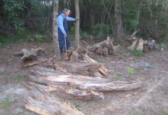 妻子因癌症去世后 80岁老人卖柴火偿还医药费