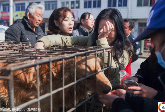 男子当街杀狗卖肉 小狗面对利器 泪流满面