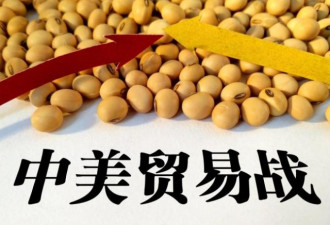 大豆贸易格局生变，中储粮称不会受到影响