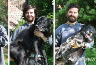 和狗狗的第一张照片vs最后一张照片…暖很久