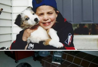 和狗狗的第一张照片vs最后一张照片…暖很久