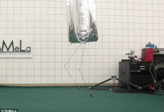 美国发明氦气球人形机器人:身体轻盈动作灵活