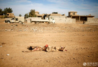 伊拉克士兵与“伊斯兰国”武装分子尸体合影