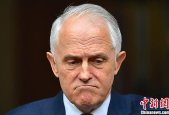澳洲总理特恩布尔宣布辞职 莫里森将成新总理