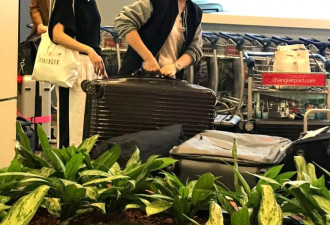 56岁钟楚红新加坡探亲 一个人搬四大箱行李