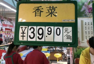 太可怕了！中国菜价上涨香菜每公斤100