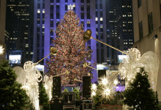 加拿大想打造全球最高的圣诞树 却丑哭了全世界