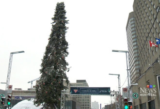 加拿大想打造全球最高的圣诞树 却丑哭了全世界