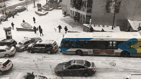 加拿大发生入冬最“惨烈”车祸，请忍住别笑！
