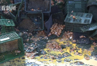 装鸡蛋货车侧翻 30多万枚鸡蛋碎一地 满地金黄