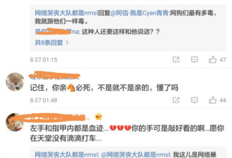 网民辱骂滴滴遇难女孩 网警喊话：投案自首！