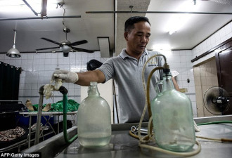 菲律宾禁毒战争：毒贩尸体头部被钉三根钉子