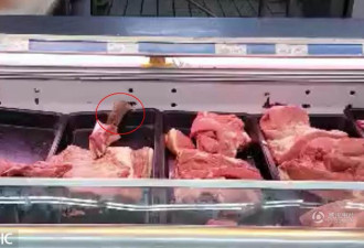 他拍到上海超市老鼠在冷柜里吃肉 结果被围追