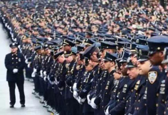 来美20年华人：美国警察受尊敬不是因为有枪