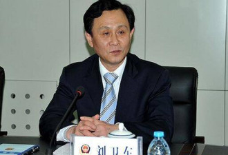 山东泰安市委常委副市长刘卫东景区自缢身亡