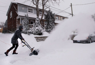 多伦多市特别天气预警升级 整夜降暴雪